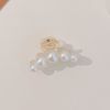 French Vintage Metal Hair Grab Rhinestone Grab Clip Hair Accessories Set
